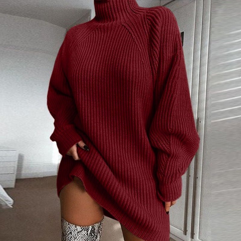 Solid Turtleneck Long Sweater Winter Warm Women Sweater Dress - MISSCLAUS
